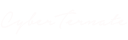 footer-logo-cyberternate